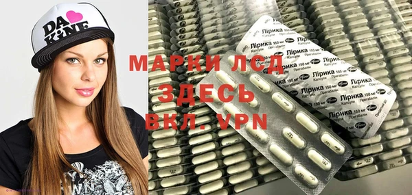 индика Богородск