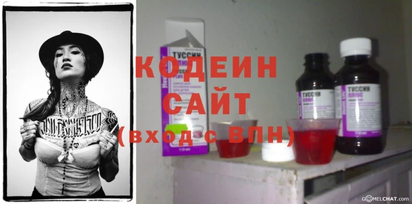 индика Богородск