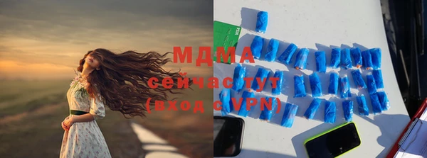 индика Богородск
