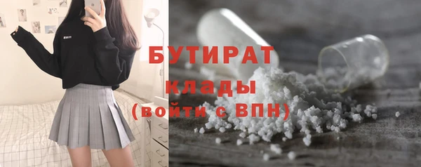 индика Богородск