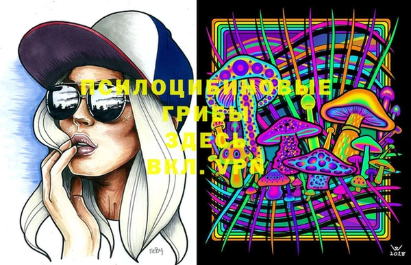 спиды Снежногорск