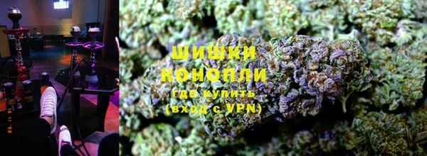 индика Богородск