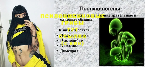 ешки Богданович