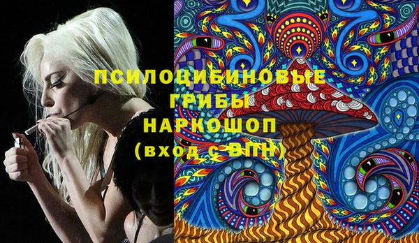 ешки Богданович