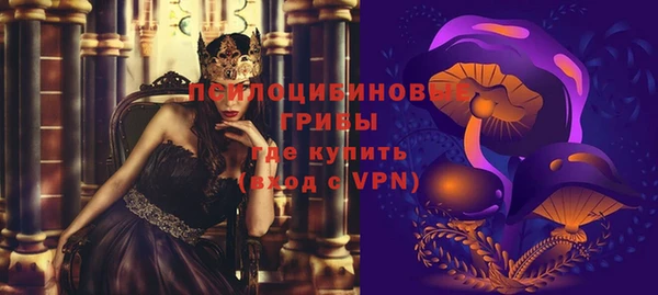 ешки Богданович